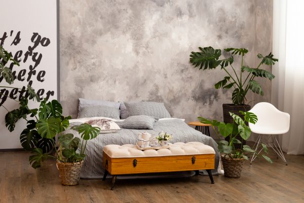 Plant Ideas for a Natural Aesthetic Interior Design